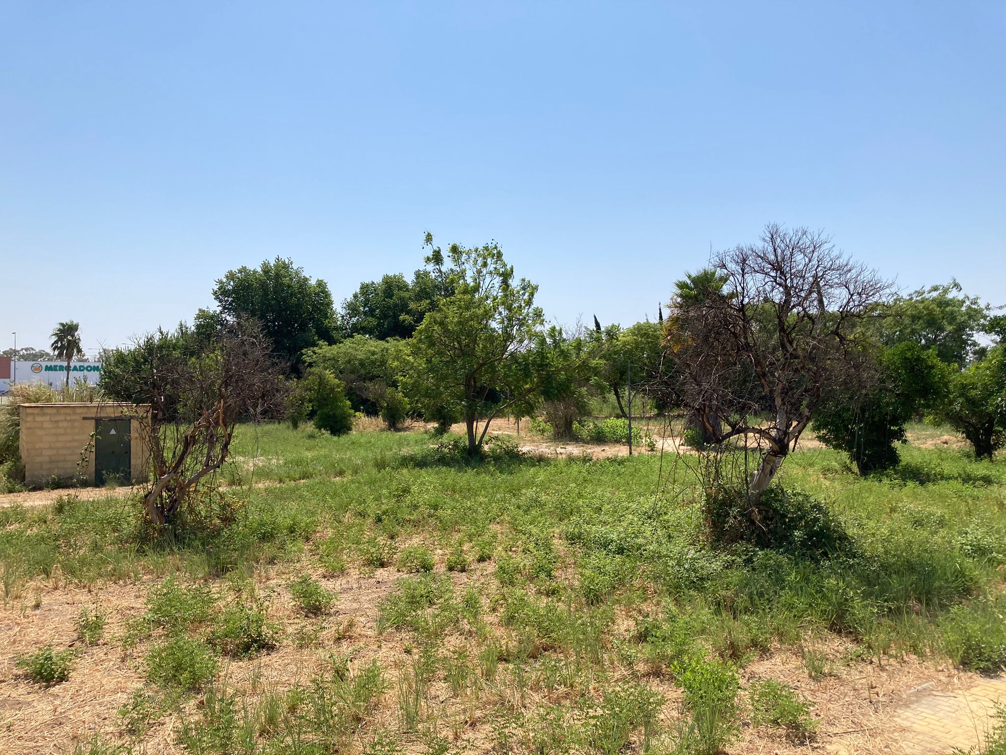 Parque Valdomina 19-07-2021 (2)