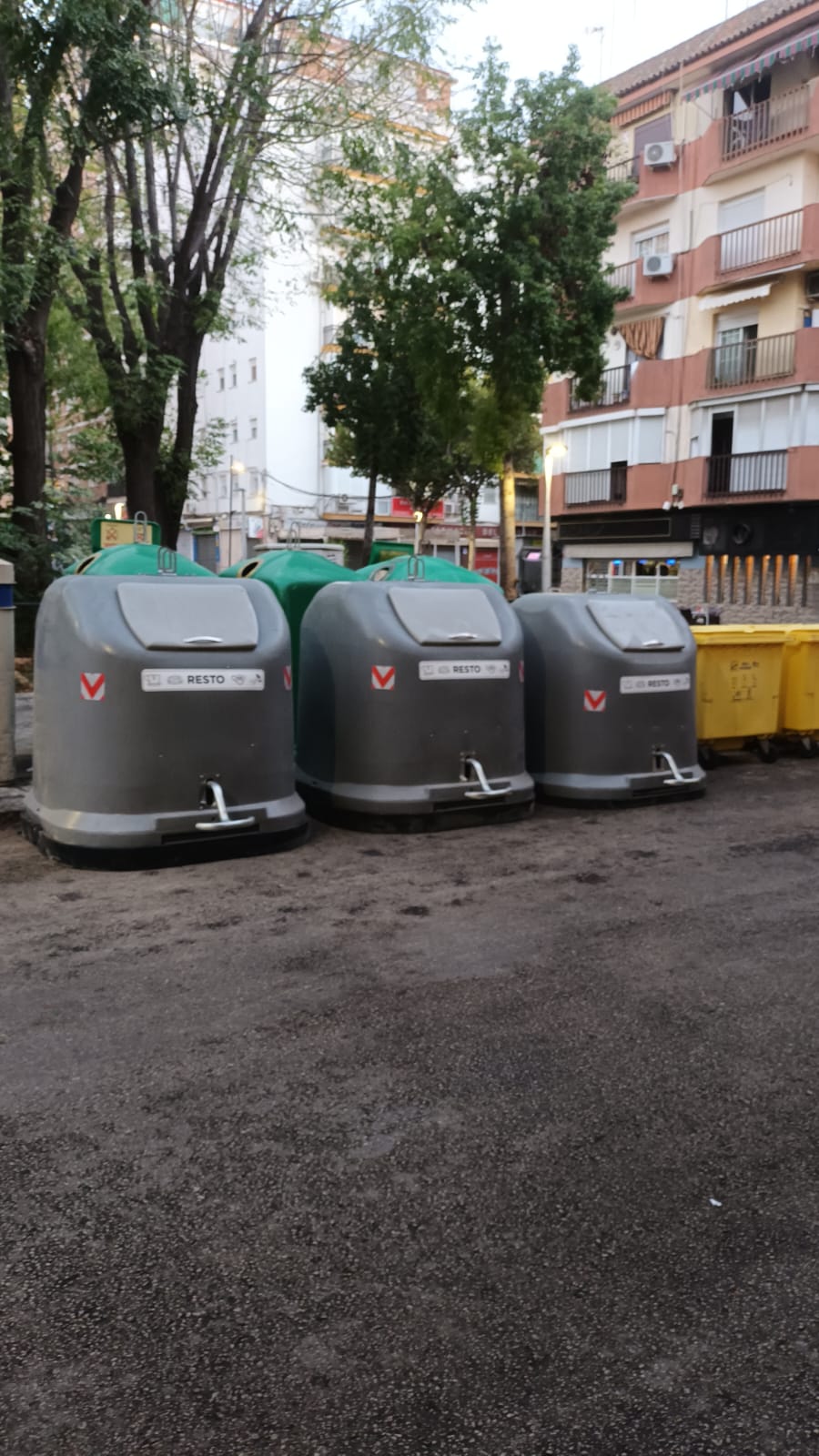 contenedores Plaza de la Constitución