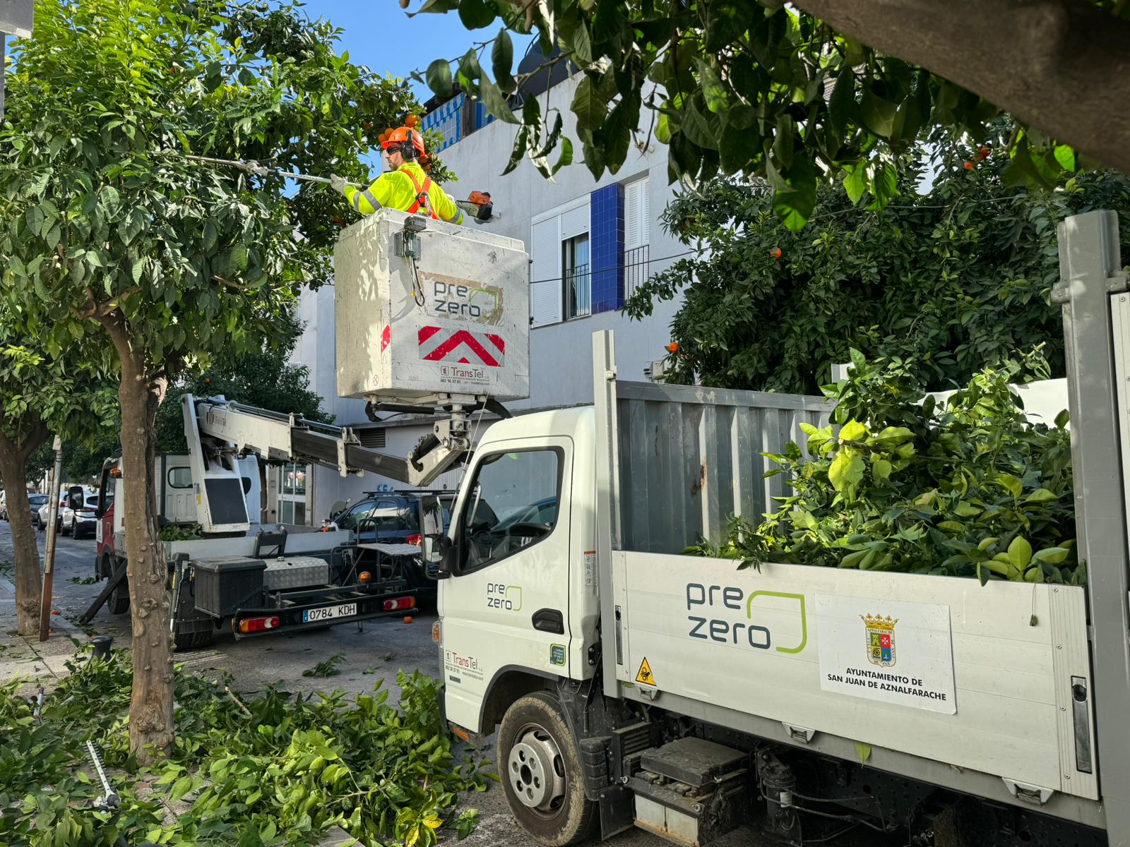 actuaciones limpieza febrero 2024 (12)