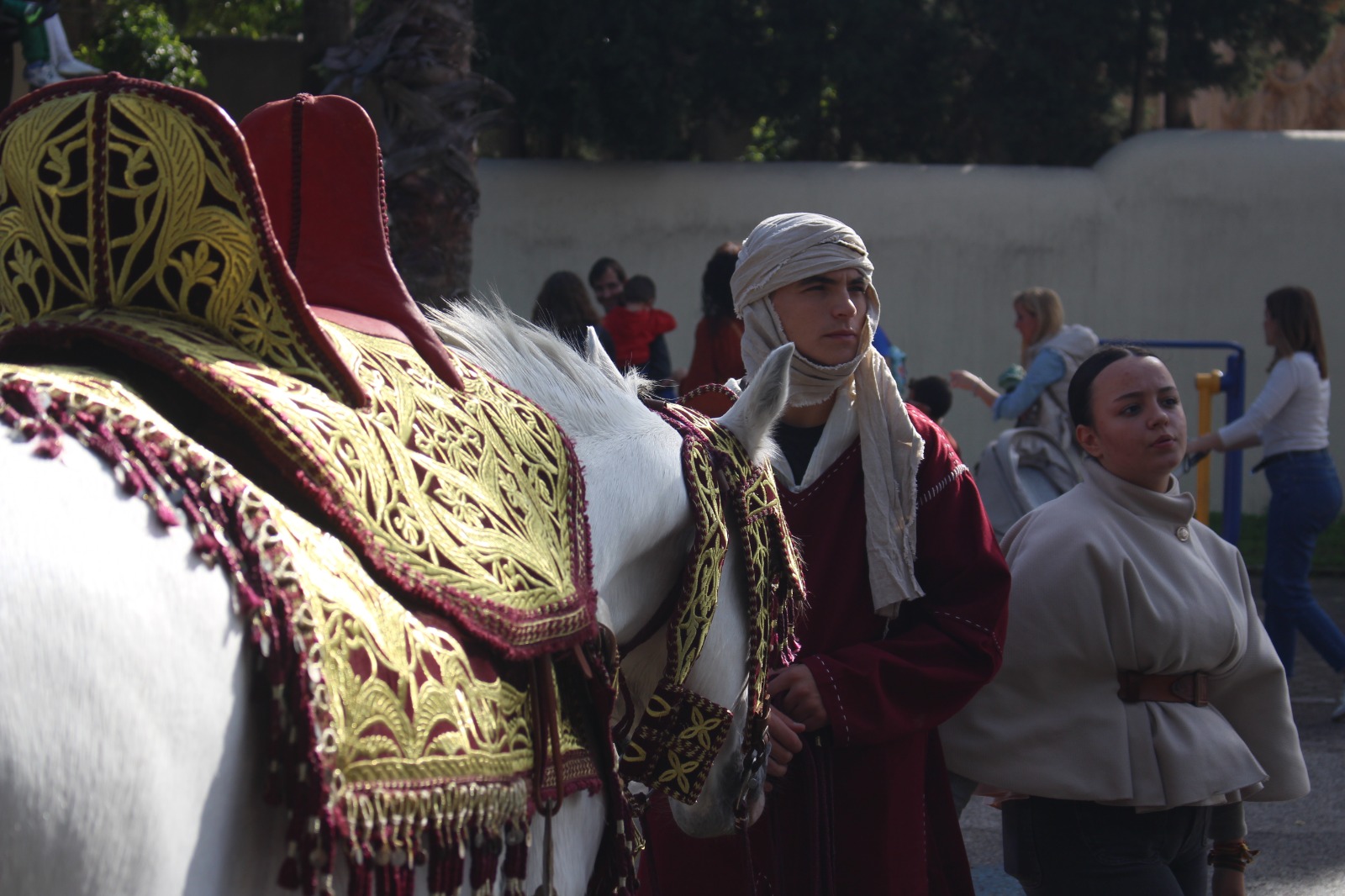 jornadas Roma reducidas (4)