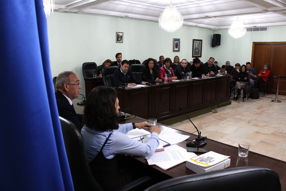 Pleno-ordinario-20-02-19-(17)_p