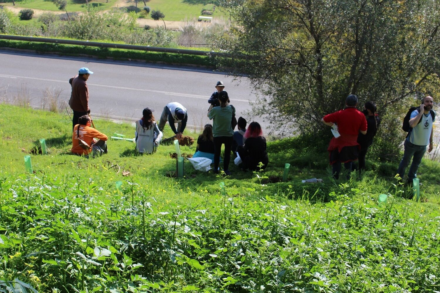 Fotos gran bellotada (34)portal