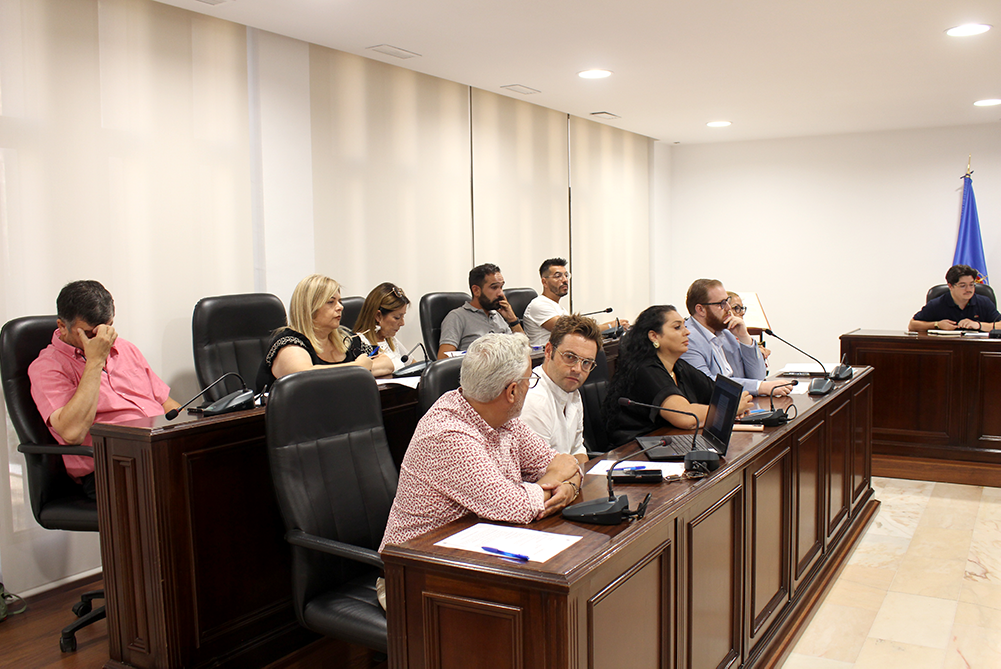 pleno cesped y ayuda domicilio (3p)