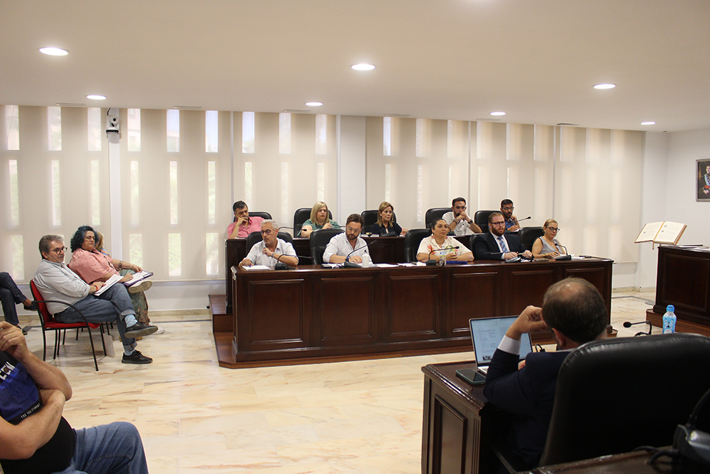 06 26 25 Pleno ordinario junio (58)