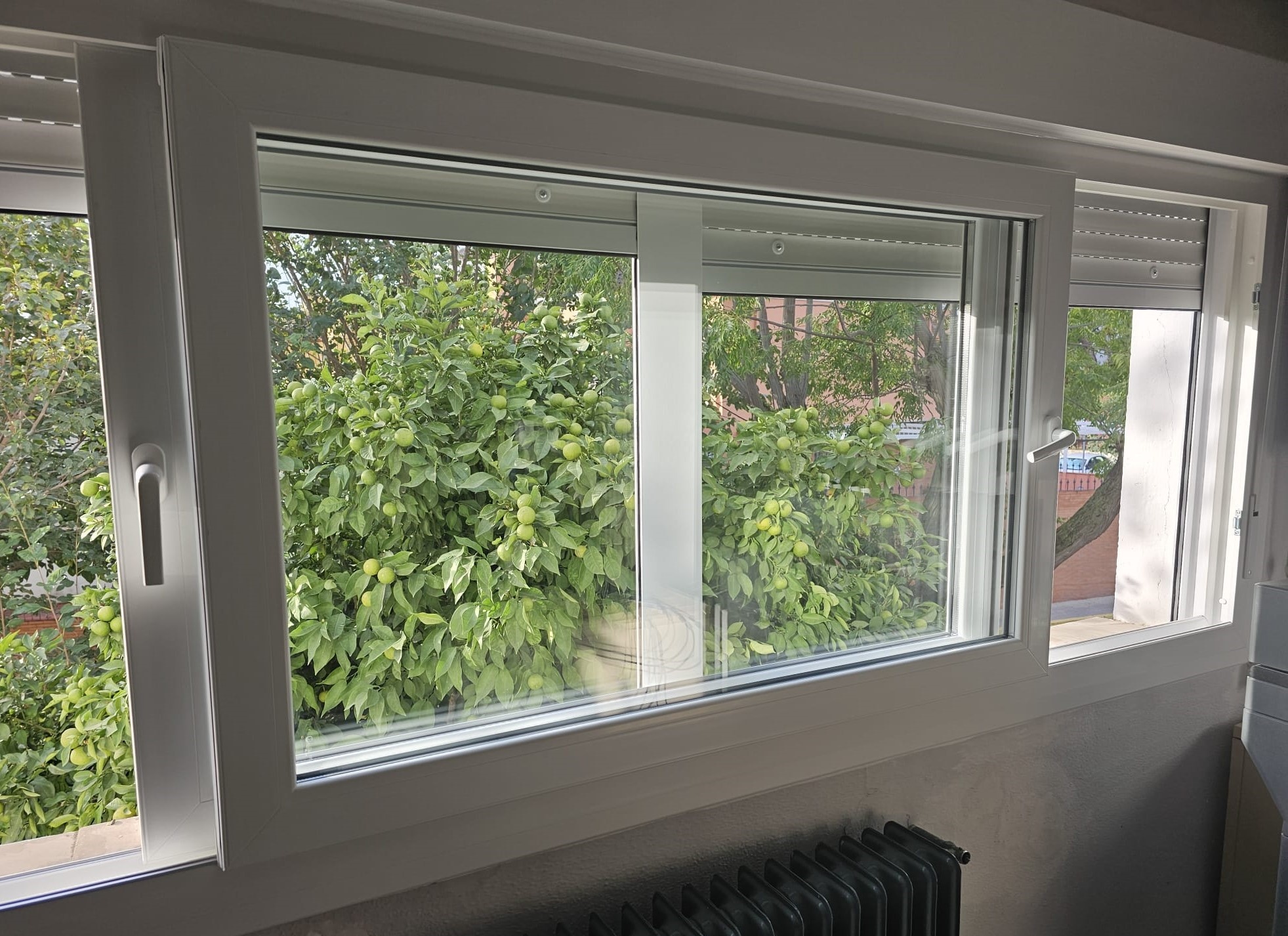 e8dc0e54-4061-47e0-92c9-f93fca9154c1