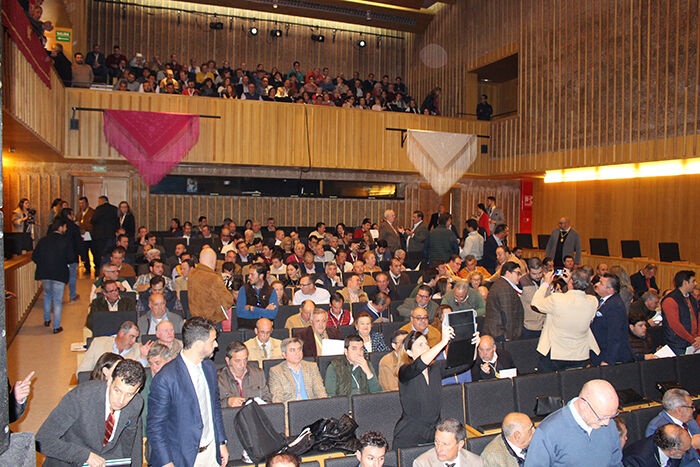 Asamblea de hermandades 16-02-19 (17)