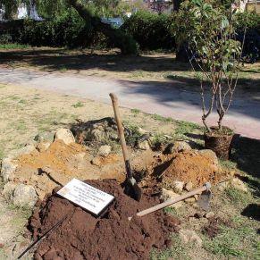 Encuentro Igualdad (16)