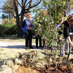 Encuentro Igualdad (34)