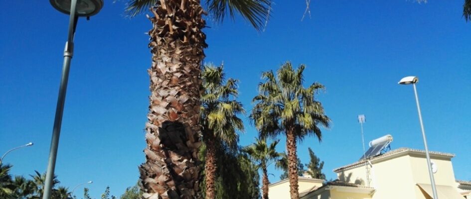 Farolas-del-pueblo-x2x_p.jpg_374706710