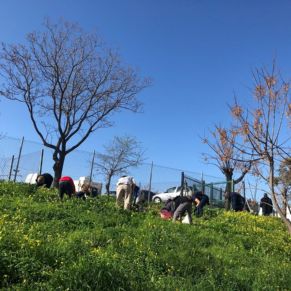 Gran bellotada 15 02 2020 (19)portal