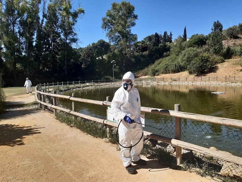 fumigación mosquito por virus nilo (2)