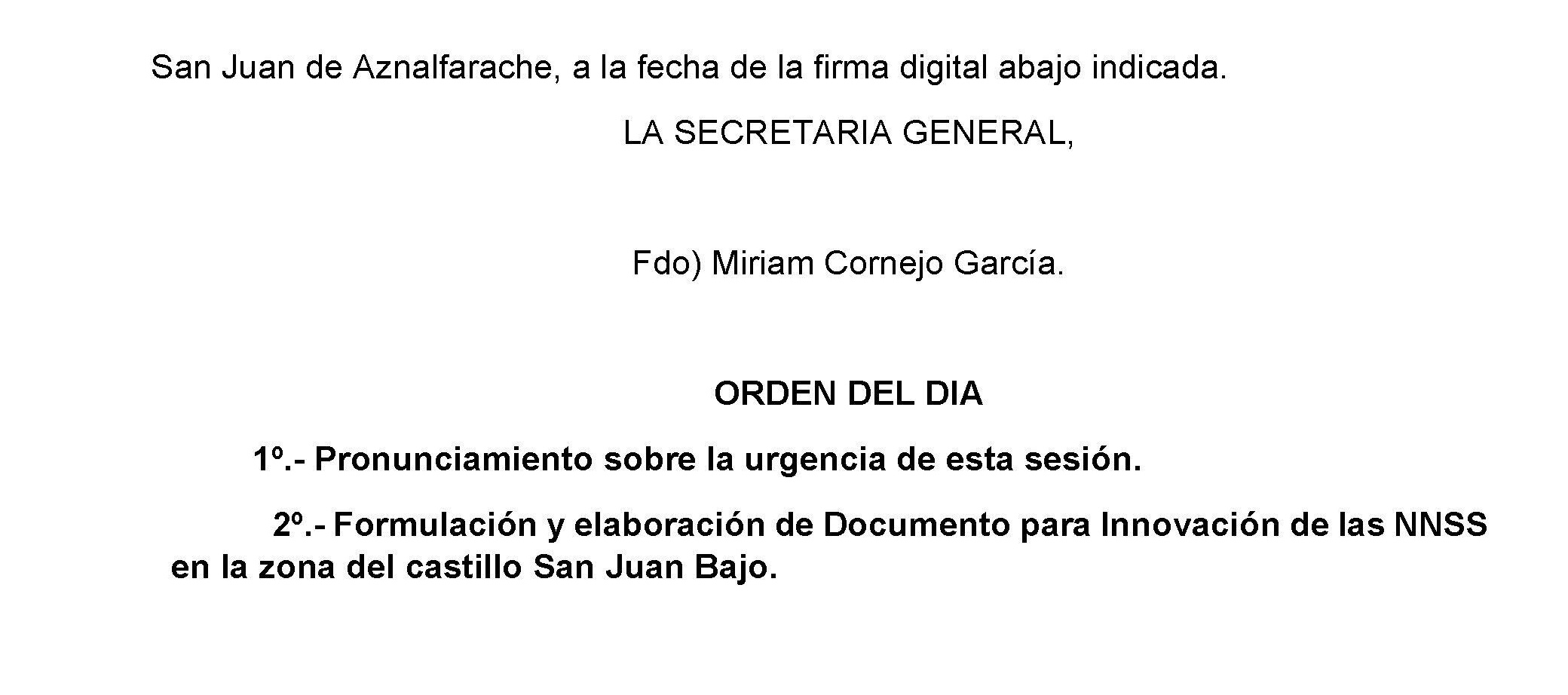 PLENO EXTRAORDINARIO Y URGENTE 7-4-21 10.00 H_p1_Página_2