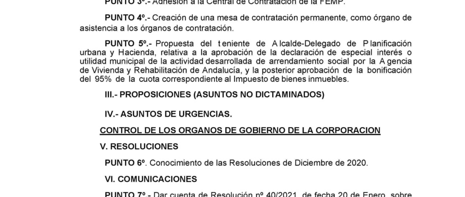 PLENO ORDINARIO 27-1-21 A LAS 12.00 H_p_Página_2