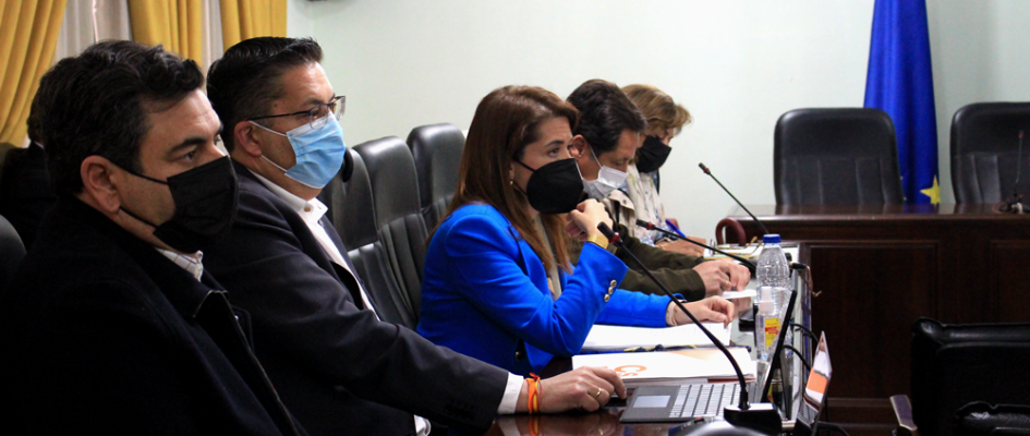 Pleno-ordinario-23-03-2022-(32)