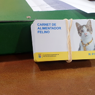 12 12 II reunion colonias felinas (8)