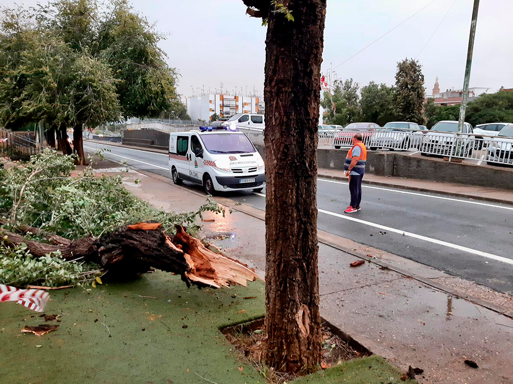 incidencias lluvias y viento 22 10 23 (1)