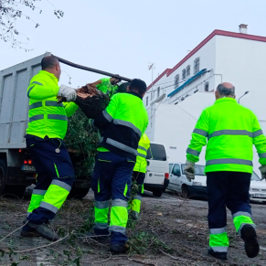 incidencias lluvias y viento 22 10 23 (19)