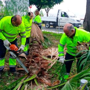 incidencias lluvias y viento 22 10 23 (21)