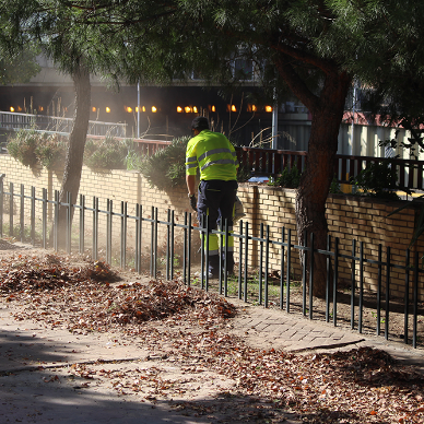 limpieza barriada de las vírgenes (137)