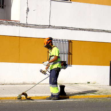 limpieza barriada de las vírgenes (30)