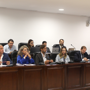 Pleno ordinario 18 04 2024 (7)