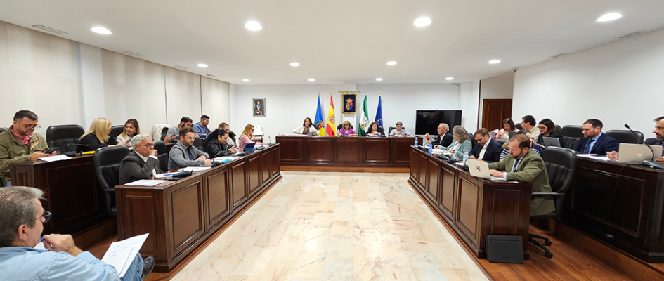 pleno Ordinario 17 10 24 (69)