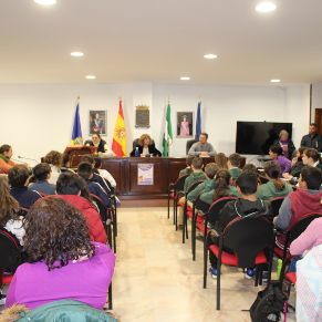 pleno escolar y manifiesto (2)