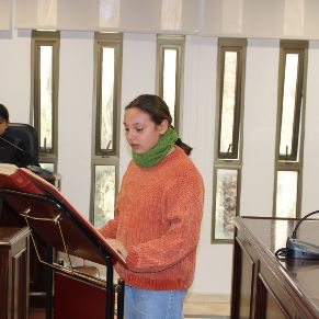 pleno escolar y manifiesto (5)