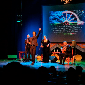 Gala del dia del pueblo gitano (3)