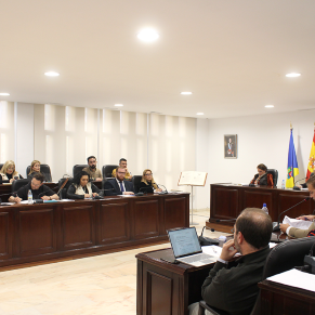 Pleno ordinario 20 marzo 25 (59)