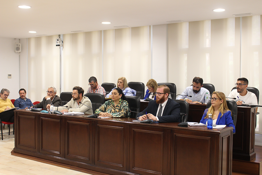 Pleno ordinario 24 04 25 (21)