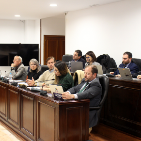 Pleno ordinario enero 16 01 25 (3p)