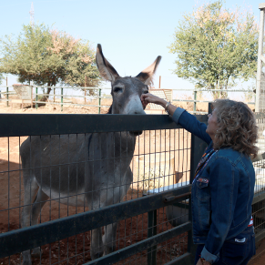 Visita sport dog (104)