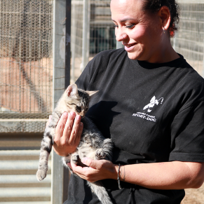 Visita sport dog (132)