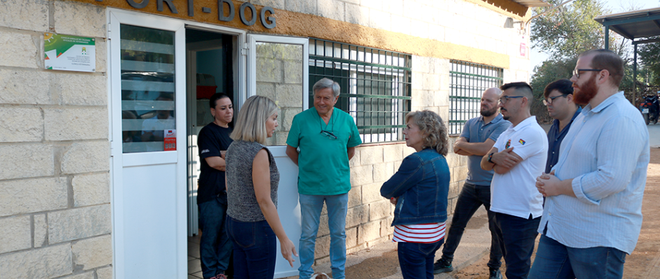 Visita sport dog (15)