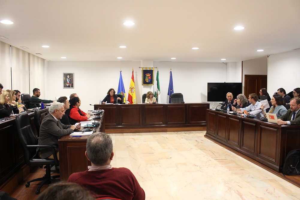 pleno ordinario 20 02 25 (6)