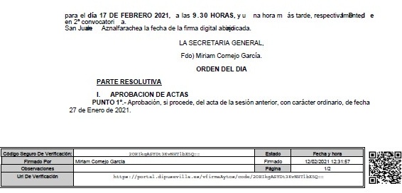 convocatoria PLENO ORDINARIO 17-2-21