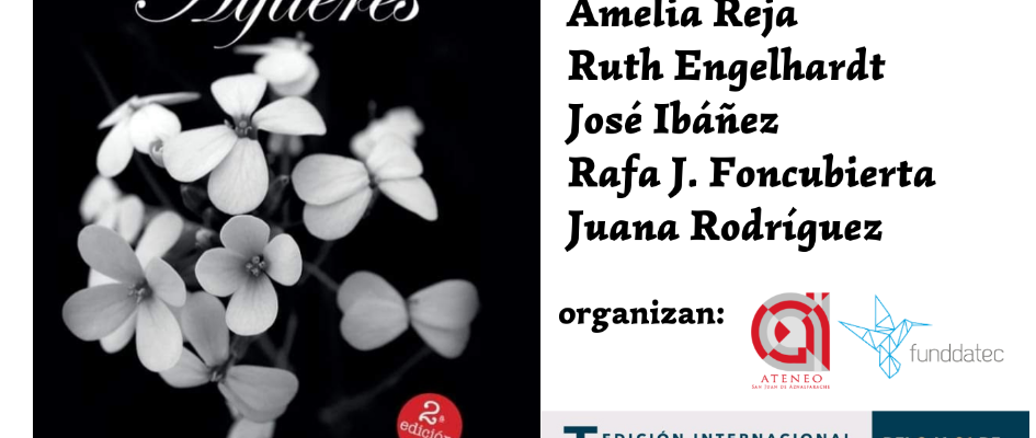 Cartel encuentro Alfileres Carmen Herrera