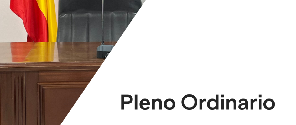 Pleno ordinario 20 06 24