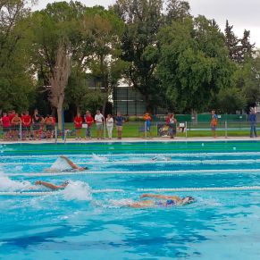 015631c9-5f78-4df3-8618-9a74e0383e82