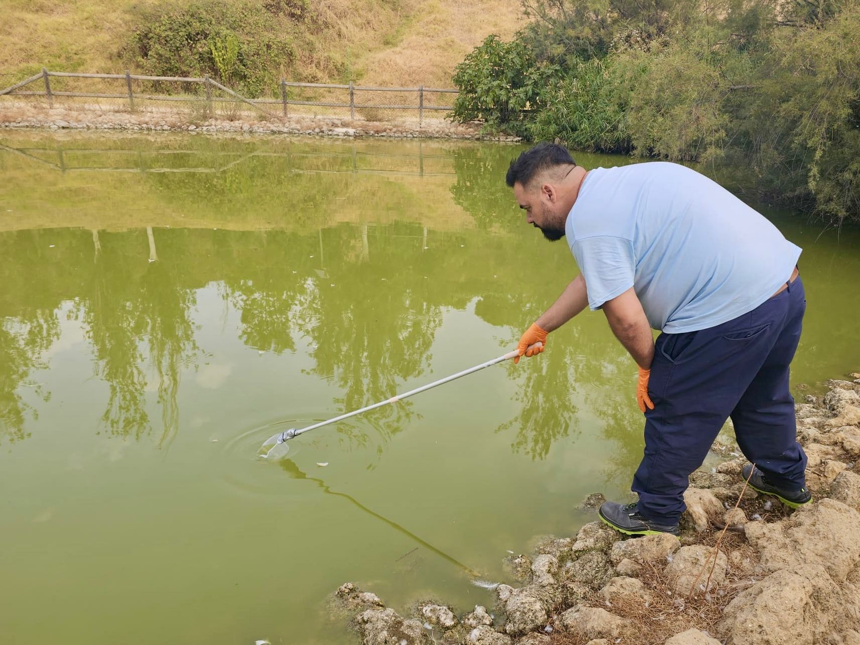 3cc64ded-6e60-4911-b192-ce6d943b2032