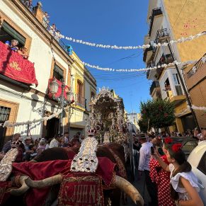 442445991_766929052281765_5100886996217264743_n