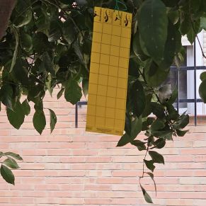 459297371_840275991613737_5653840996586339561_n