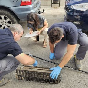 459417882_840276064947063_1932465949928194938_n