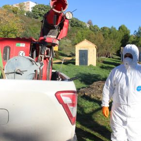 586023619_1161358856172114_4447555483555010172_n