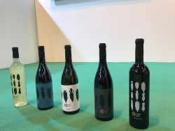Vinos Fitur