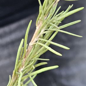 a823aff4-9fd6-4850-8481-06bfa6e008ae