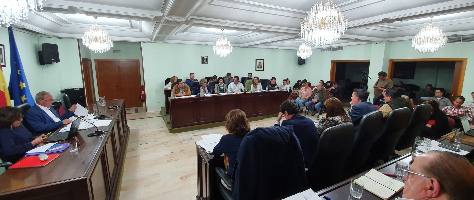 pleno ordinario febrero 2020 (29)