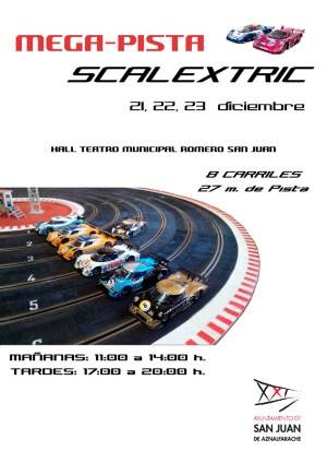 scalectric1_p