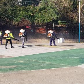 Reyes Magos 2021 mañana movil (1)